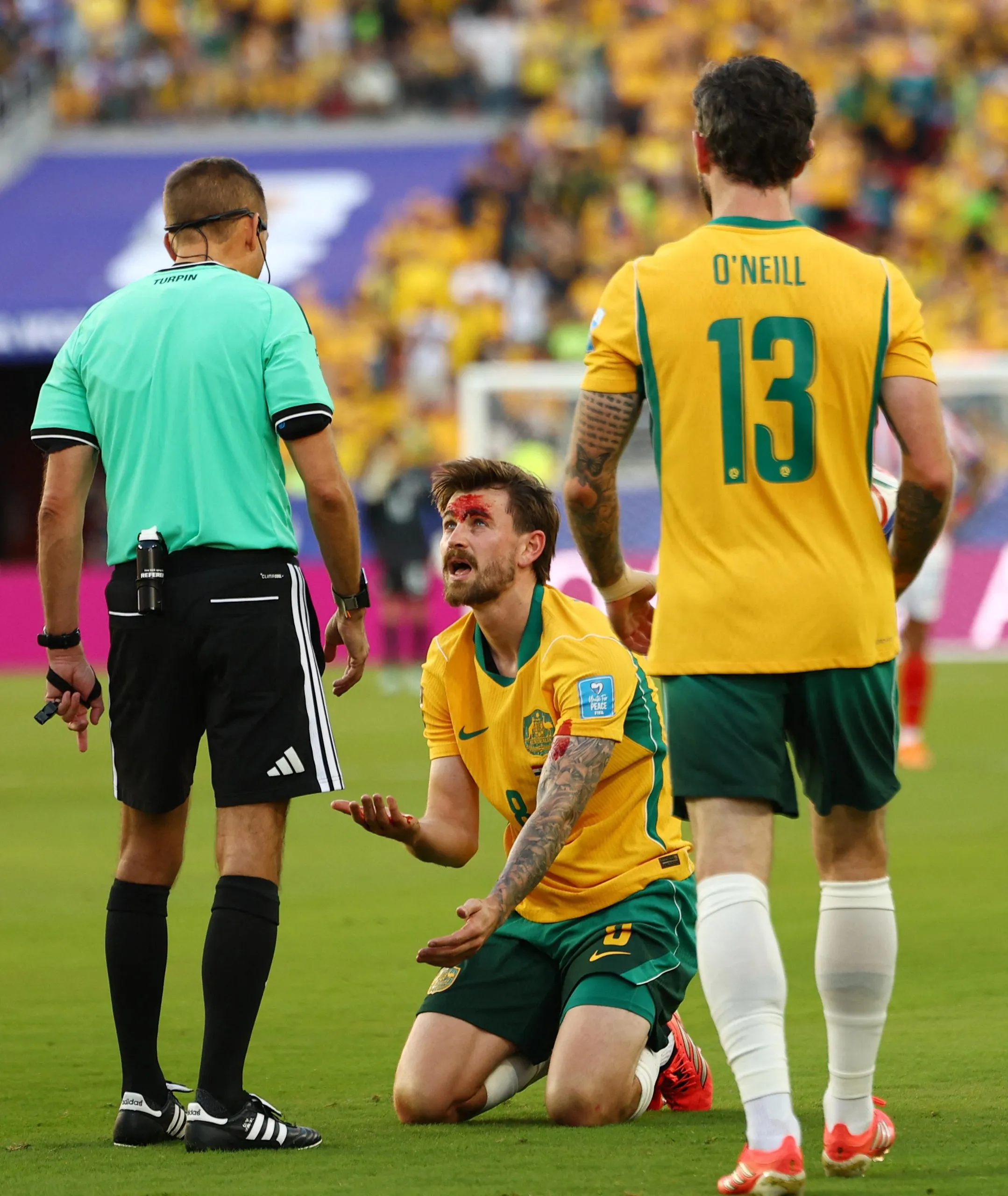 Australia's Connor Metcalfe.