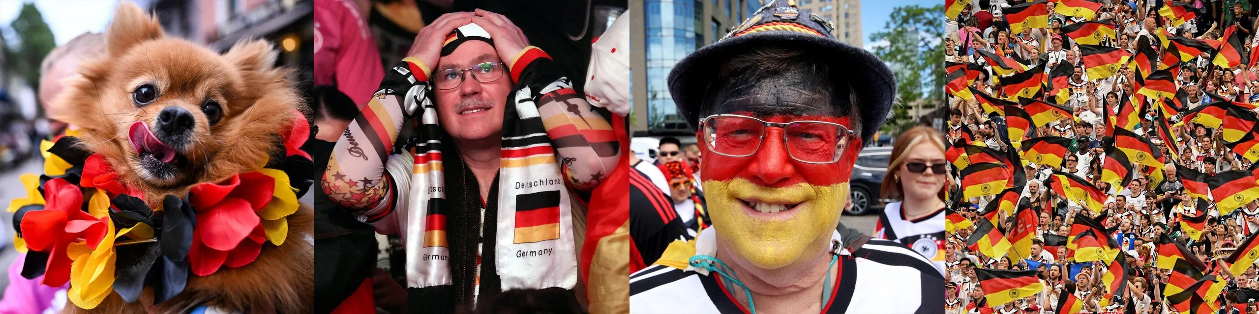 Germany fans
