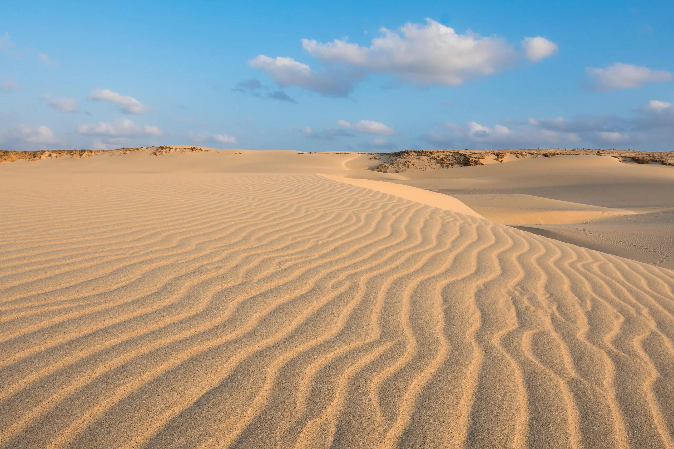 And a desert? Or maybe just some nice dunes